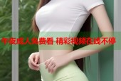 午夜成人免费看 精彩视频在线不停